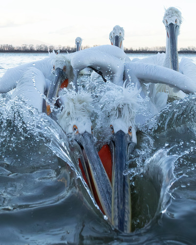250422 Martina van raad Goud-Splashfoto4
